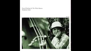 David Darling & The Wulu Bunun - Lugu Lugu Kan-Ibi