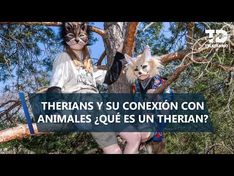¿Mi hijo dice que es un lobo? Guía para padres sobre el término viral 'therian' en 2026

?




















