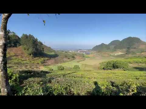 Cần bán mảnh đất 3400m2 view đồi chè ở thị trấn nông trường Mộc Châu