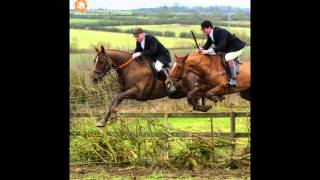 preview picture of video 'The Cottesmore Hunt at Stapleford Park, 28/2/15'