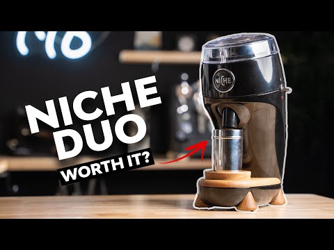 NICHE DUO REVIEW - Legendary Or Late?