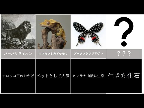 メキシコで絶滅した動物 -