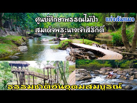 สวนป่าสมเด็จพระนางเจ้าสิริกิติ์