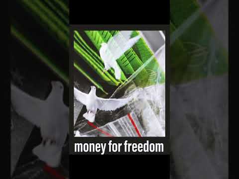 Gold TALENTIIN 97 x BIGG MAIK x DIMOS - DOG & GUN prod. HirmixWYA