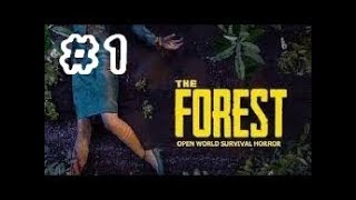 YuiTomoのFOREST#1