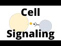 Cell Signaling Types (Paracrine, Endocrine, Juxtacrine, ...)