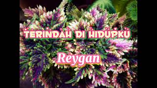 Download lagu Reygan ~ Terindah Di Hidupku. mp3