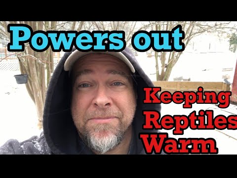 YouTube video about: How to keep reptiles warm when power goes out?