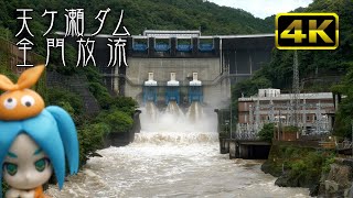[4K] 天ケ瀬ダムの全門放流。毎秒1100トン！宇治　Release of Amagase Dam Kyoto with ONONOKI-chan