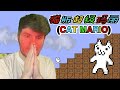 NON STOP RAGE CAT MARIO