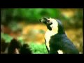 Dredg - Of The Room