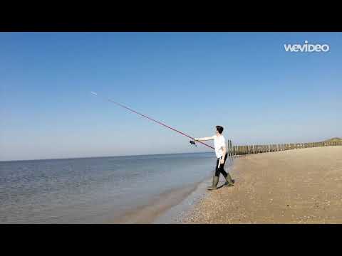 Vissen Zoutelande #3 mooie vangst