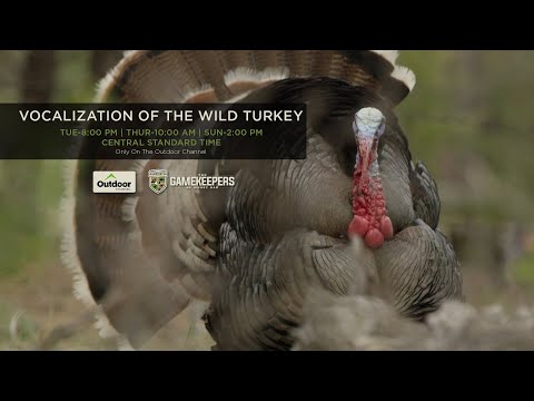 The GameKeepers of Mossy Oak: Vocalization of the Wild Turkey Trailer