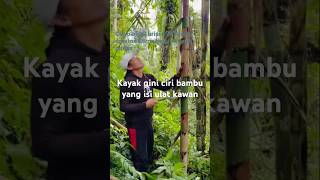Download lagu Karna sring ada brtanya ini spil #pemburuhartakarun #viral mp3 Download lagu Karna sring ada brtanya ini spil #pemburuhartakarun #viral mp3