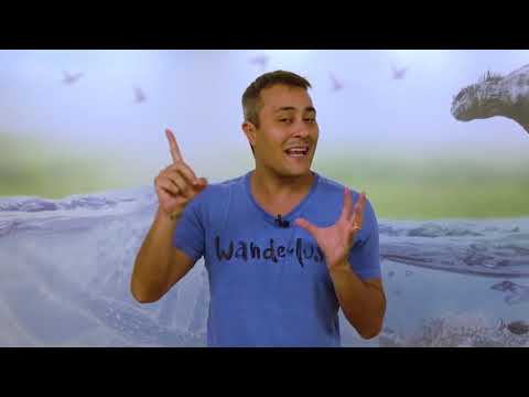 Ciclo Biogeoquimico do Carbono Ju