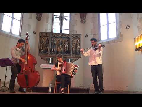 Trilemma Taraf - Bucimis