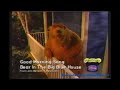 Bear In The Big Blue House Good Morning Song To Rain