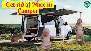 How to Keep Mice Out of a Camper? How to Get rid of Mice in Camper? How to Keep Mice out of RV?