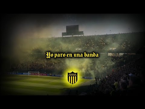 "Yo paro en una banda, que es la más loca de todas" Barra: Barra Amsterdam &bull; Club: Peñarol &bull; País: Uruguay