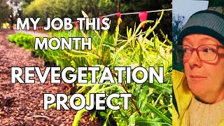 Behind the scenes on the job - early starts for lake revegetation project