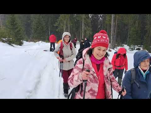 SACA MARE. Gurghiu Mountains.