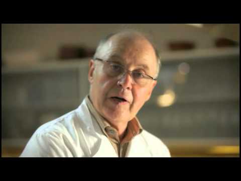 Pain perdu par Pierre-Dominique Cécillon pour Larousse Cuisine