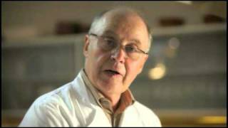 Pain perdu par Pierre-Dominique Cécillon pour Larousse Cuisine