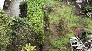 【作業用】台風24号 雨の音 風の音【睡眠用】
