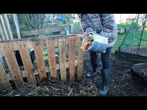 Homesteading in Australia: The One Thing that will Transform your Gardens and it's Free