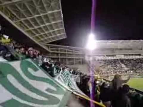 "Al campeón, yo lo llevo en el corazón" Barra: Los del Sur • Club: Atlético Nacional