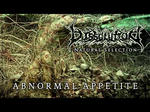 Dissolution - Abnormal Appetite