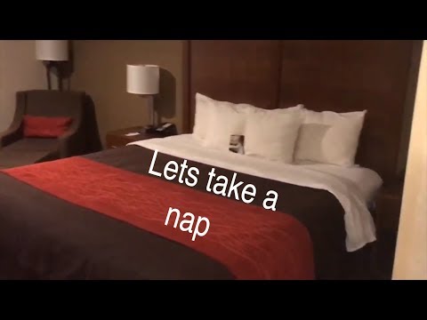 Come On A Room Tour Of The Comfort Inn Glenmont NY