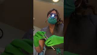 Dental ASMR #dentist #asmrtriggers #asmrcommunity #asmrgloves #asmr #asmrdentist #glovesasmr #relax