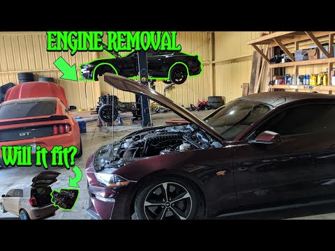 OIL PUMP FAILURE. 2019 WHIPPLE MUSTANG GT ENGINE REMOVAL PART 1