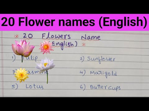 20 Flowers Names in English/Flowers name and spellings/Flower names/20 flowers/flowers with spelling