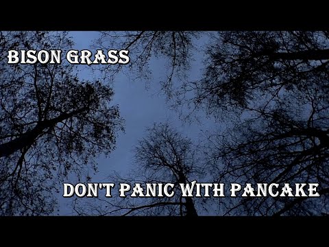 Bison Grass - Don't Panic With Pancake (OFFICIAL VIDEO)