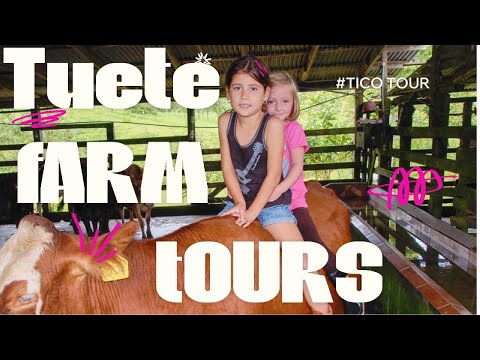 A Day at a Costa Rican Farm: The Tuete Farm Experience