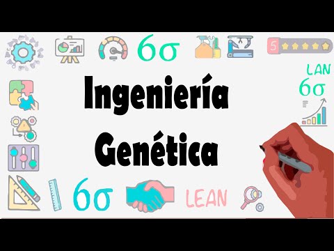 Genetic Engineering in 5 Minutes | What is Genetic Engineering? | Genetics