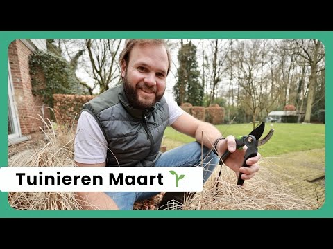 Tuinieren in maart, de start van de lente! 🌱