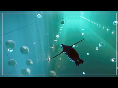 All DIVING animals aquatics race | Planet Zoo