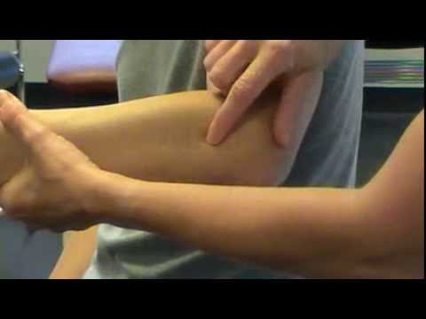 Surface Anatomy: Elbow - Lateral and Posterior aspect