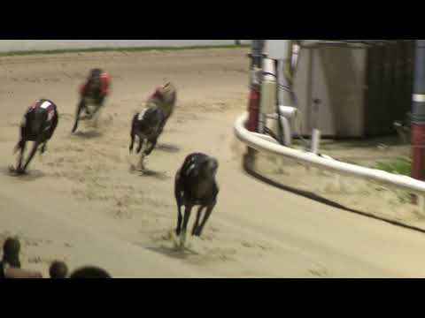 2021 CHAMPION STAKES  - HEAT 4 - T4 WARZONE TOM