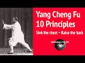 Yang Cheng Fu 10 Tai Chi Principles Sink The Chest Raise The Back