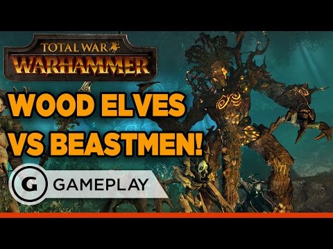 Total War: Warhammer - Wood Elves vs. Beastmen Gameplay