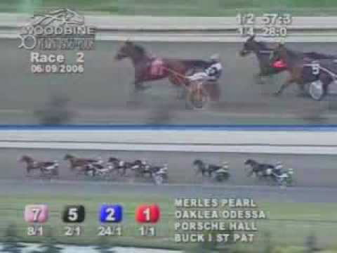 Bucki, Woodbine, 2006/6/9