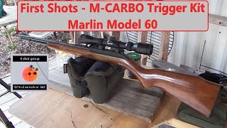 First Shots - Marlin M60 M-CARBO Trigger Spring Kit