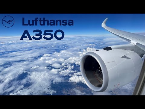 image-Does Lufthansa fly from Delhi to Frankfurt?