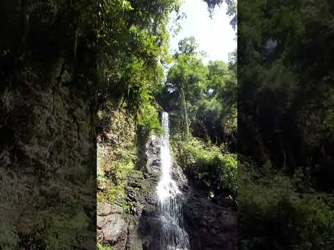 Cachoeira Do Arroio Urutum - Santa Maria Do Herval, RS (Parte 2)