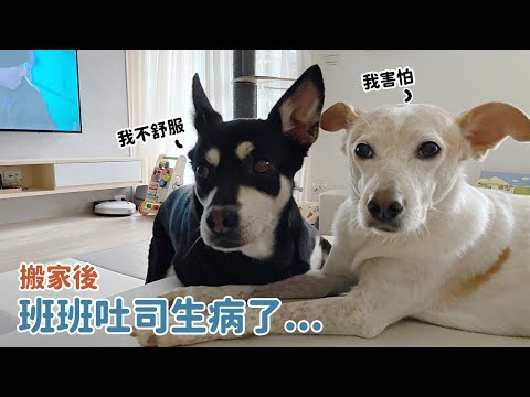 搬家後一直生病
