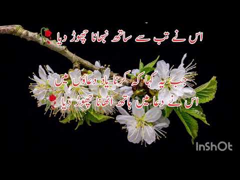 #poetry #ghazal #whatsaap status#flower